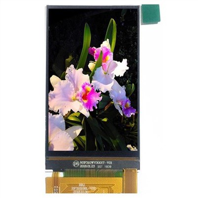 3.1 Inch LCD Display