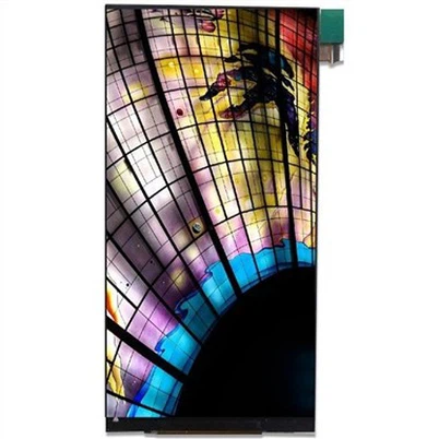 5.99 Inch LCD Display