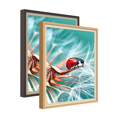 Special Design High Color Gamnut 4K 29.5 Inch 1: 1 Square Qled LCD Screen Digital Artwork Display For Museum, Gallery, Nft Collectors